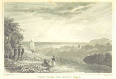 Minnis Rock Moss 1824